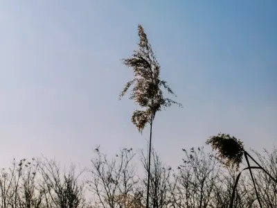 Bit4win Casino Mobilapp